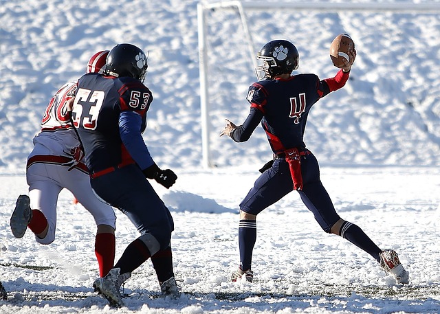 也需要具备 也需要具备